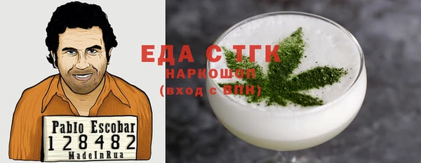 spice Дмитриев