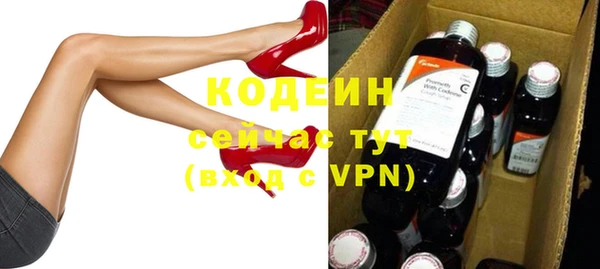 spice Дмитриев