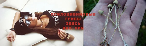 ECSTASY Дмитров