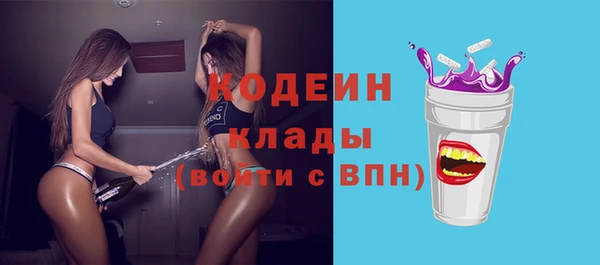 spice Дмитриев