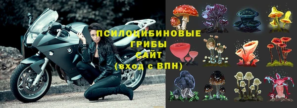 spice Дмитриев