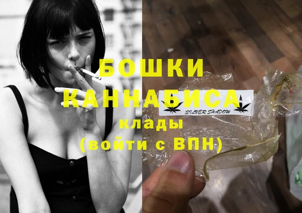 spice Дмитриев