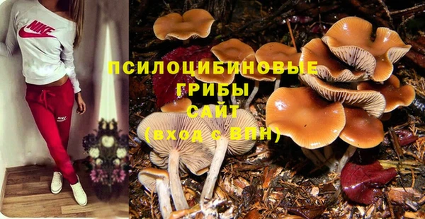 ECSTASY Дмитров