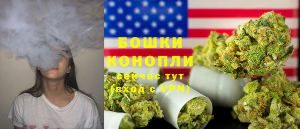 дживик Гусь-Хрустальный